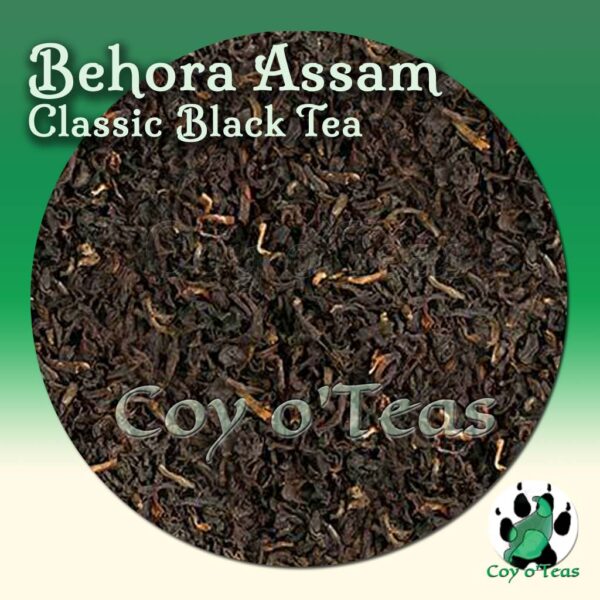 coyoteas store Behora Assam tea black classic premium gourmet tea. Image©2023 A.M. Coy