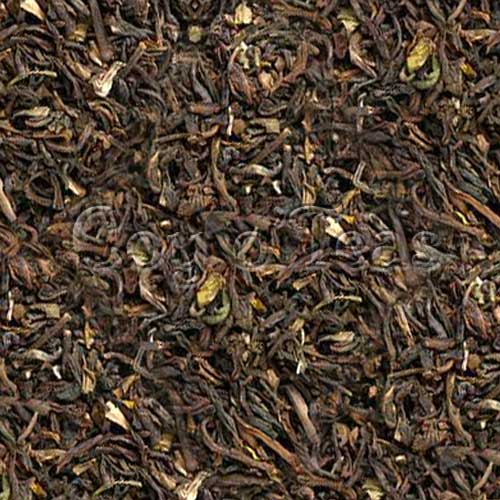 coyoteas store MIM Darjeeling tea classic black premium gourmet tea from Coy o'Teas. Image©2023 A.M. Coy. 2nd flush India