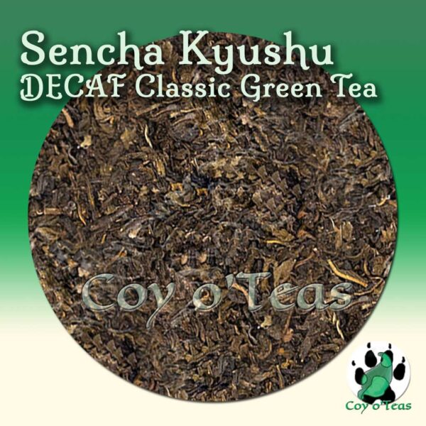 coyoteas store Sencha Kyushu green tea flavored black premium gourmet tea from Coy o'Teas. Image©2023 A.M. Coy. Sencha green decaf tea